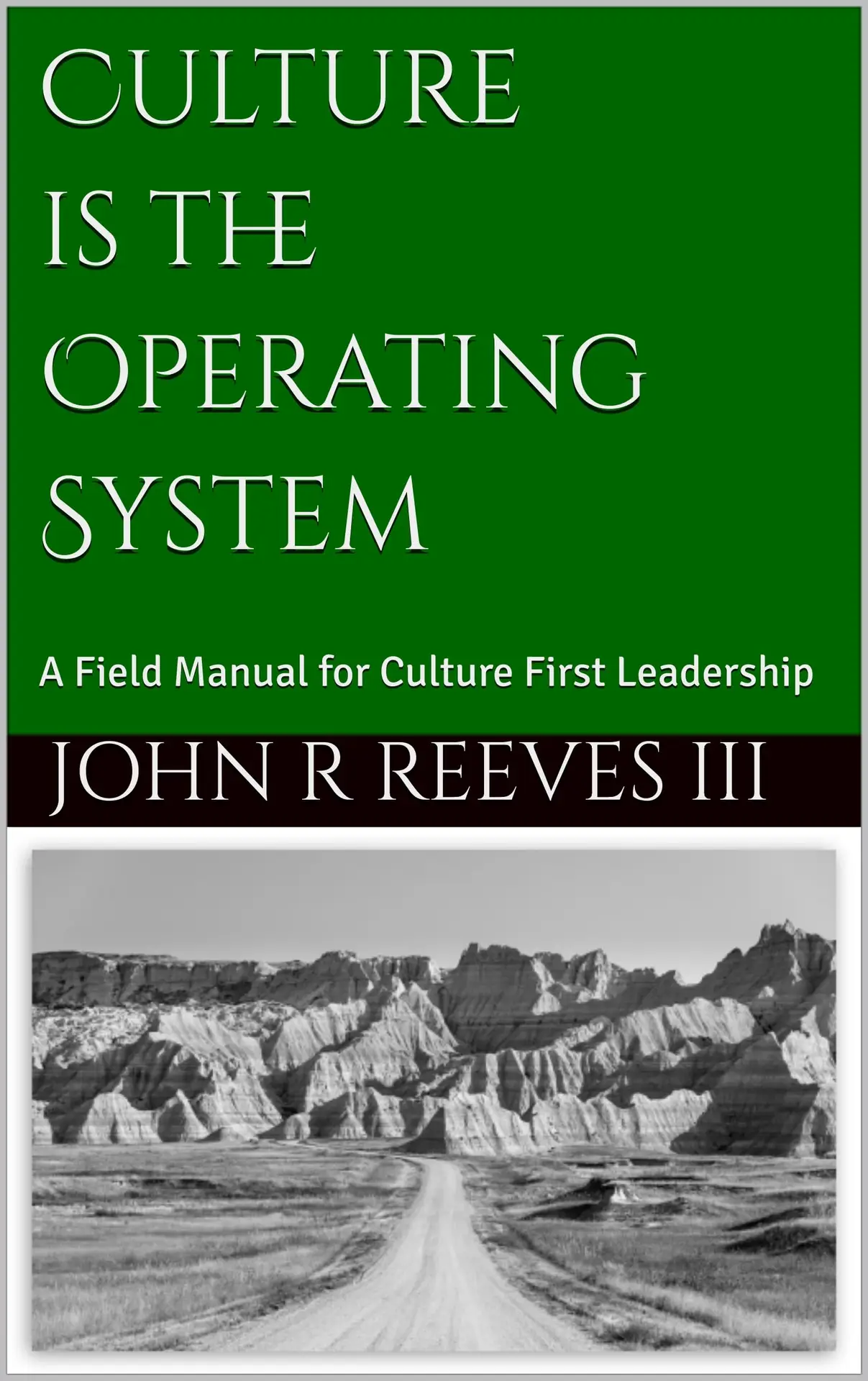 Culture Is the Operating System book cover